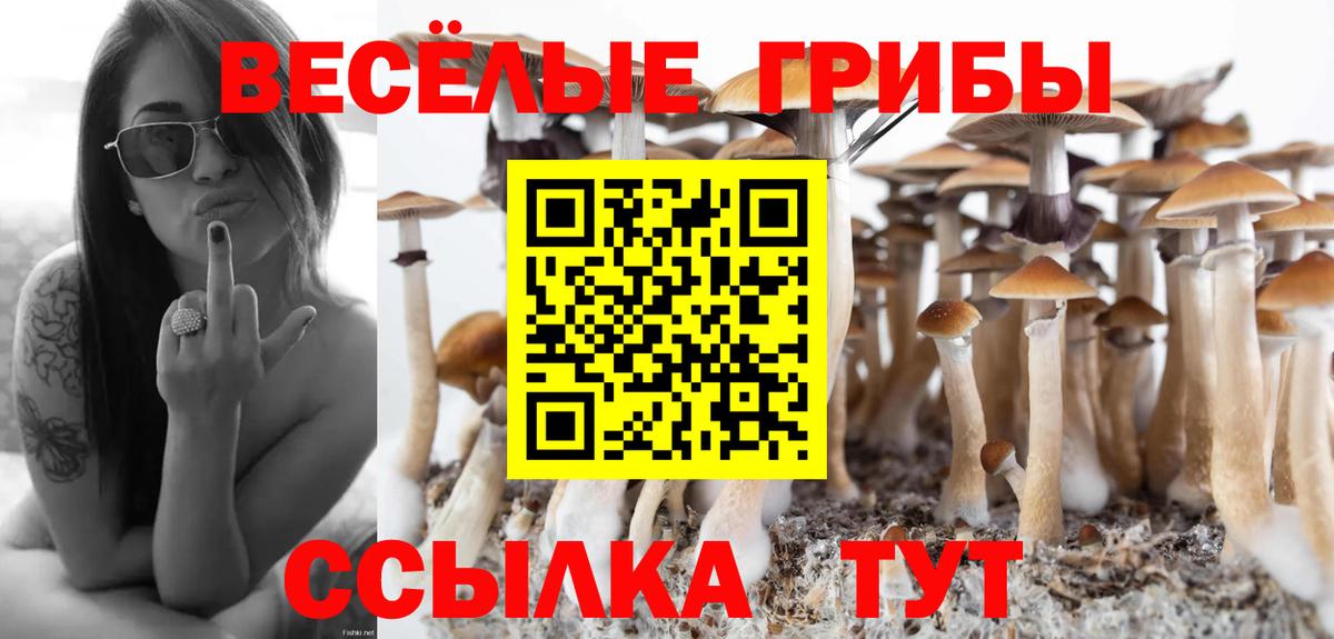 Псилоцибиновые грибы ЛСД Реутов