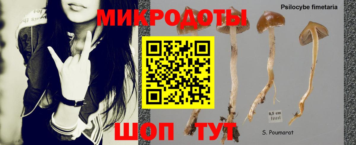 Галлюциногенные грибы Cubensis  Вход с VPN  Реутов  Псилоцибиновые грибы мухоморы 